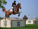 Horsey