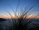 Sunset and Grass at Fistral Beach