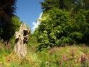 Coleton Fishacre