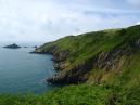 Coleton Fishacre Cliffs