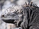 Galapagos Day 1