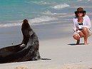 Tessa Sea Lion
