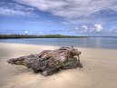 Galapagos Day 16