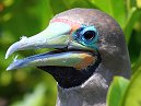 Galapagos Day 2