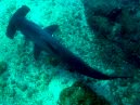 Galapagos Day 3