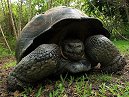 Galapagos Day 7