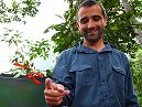 James And Humming Bird