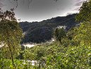 Cloud Forest