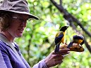 Tessa And Tanagers