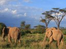 Kenya Photo Set 2