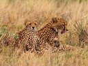 Kenya Photo Set 3
