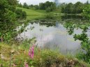 Tarn Hows