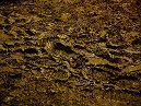 Mud