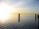 Vasco da Gama Bridge