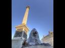 Nelson