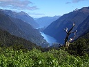 Doubtful Sound