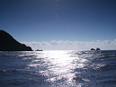 Tasman Sea