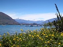 Wanaka