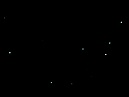 Glow Worms