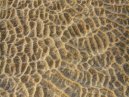 Sand