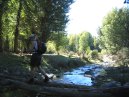 Crossing Stream