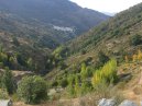 Bubion