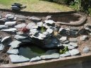 Pond 21/06/03