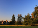 Church and Tree