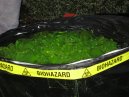 Toxic Waste