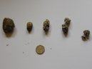 Owl Pellets