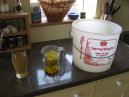 Nettle Beer and Dandelion Wine