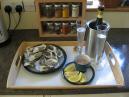 Oysters