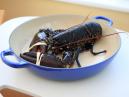Lobster Snack