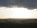 Cheesefoot Head