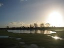 New Forest