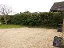 Hedge
