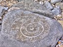 Ammonite