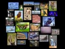 2013 in Photos