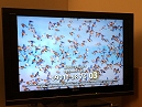 Countryfile Calendar