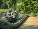 Pond