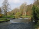 The River Test