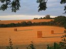 Hay Stacks