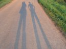 Shadows