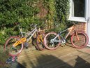 Shiny Bikes