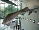 Air And Space Museum