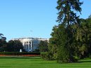 The Whitehouse