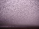Starlings