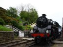 Steam Train