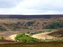 Train Through Moors