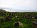 Whitby Abbey View